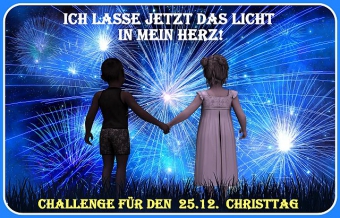 Challenge für den Christtag, Mittwoch 25.12.2024 - Ich lade dich ein, einen Beitrag zu leisten!